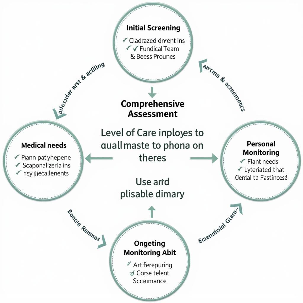 Level of Care Assessment Process