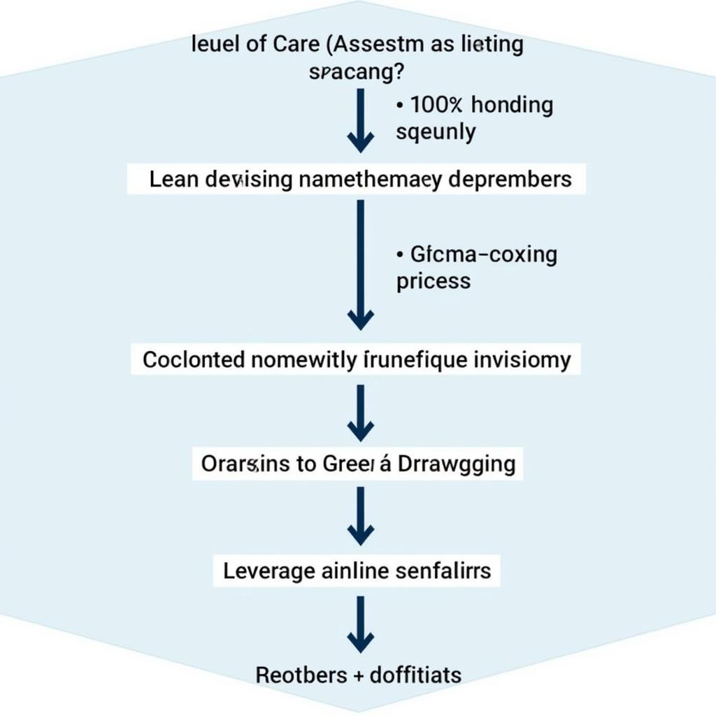 Level of Care Assessment Flowchart