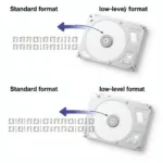 Low-Level Formatting Process