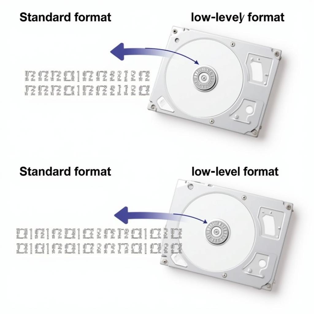 Low-Level Formatting Process