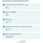 MAAS Questionnaire Example