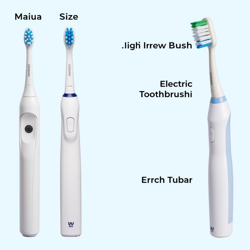 Comparing Manual and Electric Toothbrushes