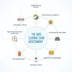 Key Components of the MDS Chronic Care Assessment