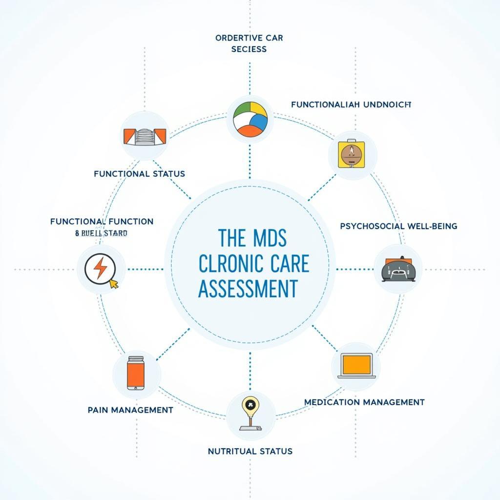 Key Components of the MDS Chronic Care Assessment