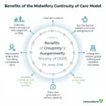 Benefits of Midwifery Continuity of Care Model