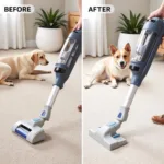 Miele Carpet Care Tool effectively removing pet hair from a carpeted area.