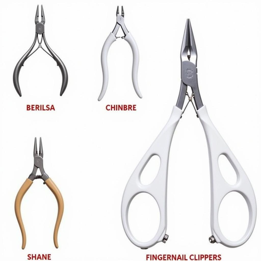 Different Types of Nail Clippers and Nippers