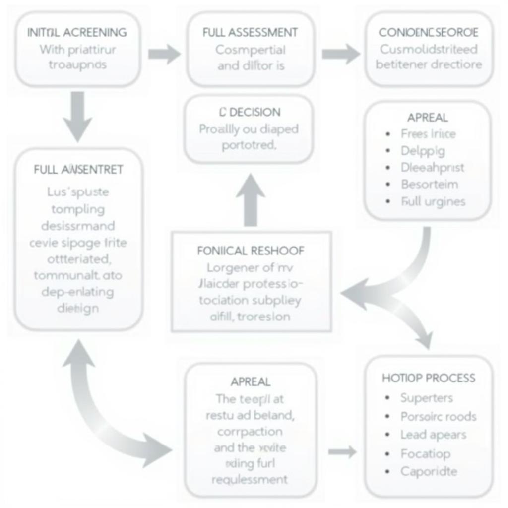 Steps in the Continuing Healthcare Assessment Process: Screening, Full Assessment, Decision, Appeals