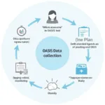 OASIS Data Collection Process in Home Health Care