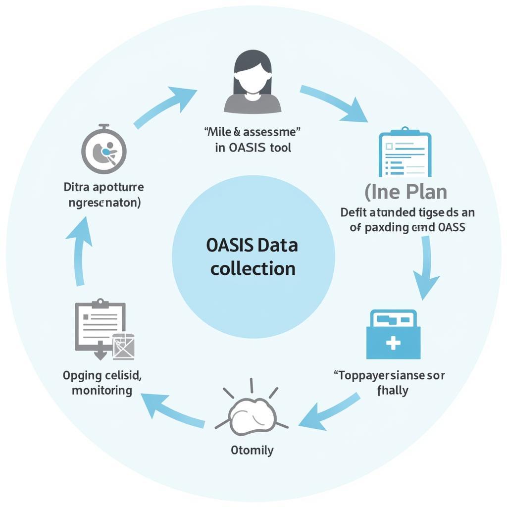 OASIS Data Collection Process in Home Health Care