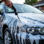 Pressure Washer and Foam Cannon in Action