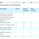 Types of SCCT Assessment Tools