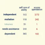 Self Care Assessment Scoring Chart with Different Levels and Corresponding Scores