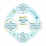 SPICT Tool Overview