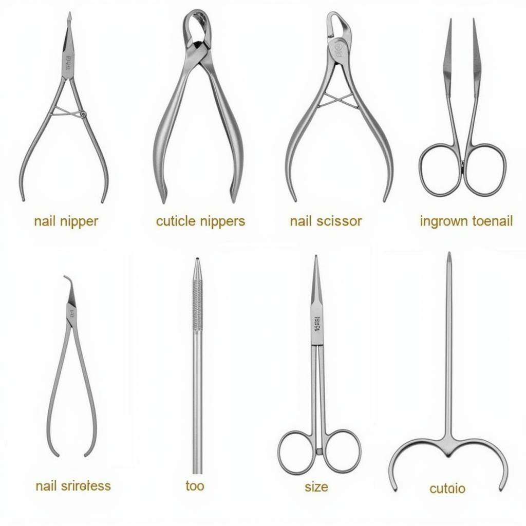 Different Types of Surgical Resterilizable Nail Cutting Tools