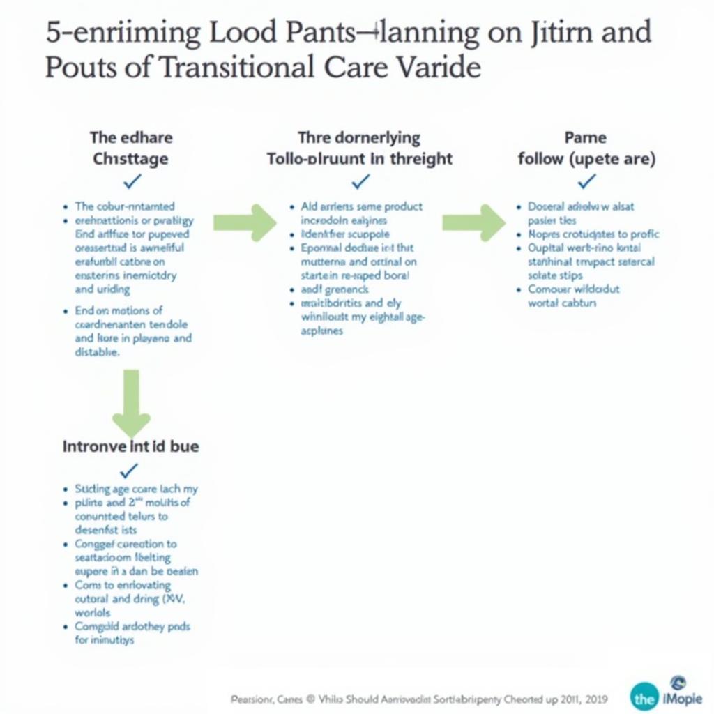 Steps to Implement the Transitional Care Model