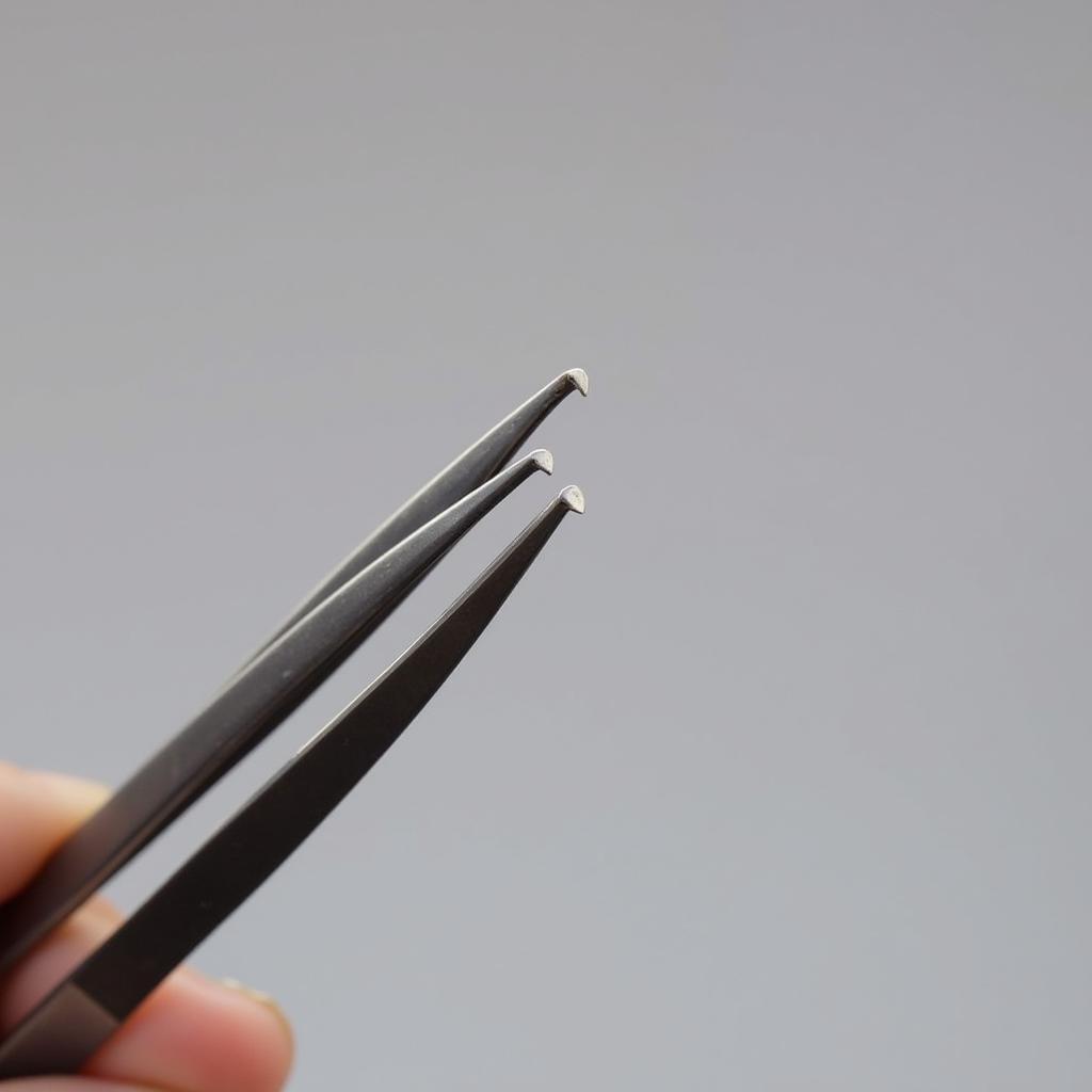 Close-up view of perfectly aligned tips of Tweezerman precision tweezers.