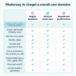 Twelve Care Domains Assessment