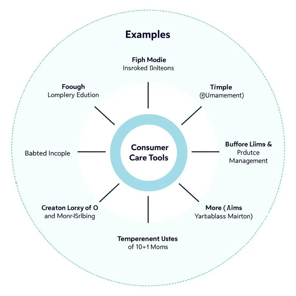 Different Types of Consumer Care Tools