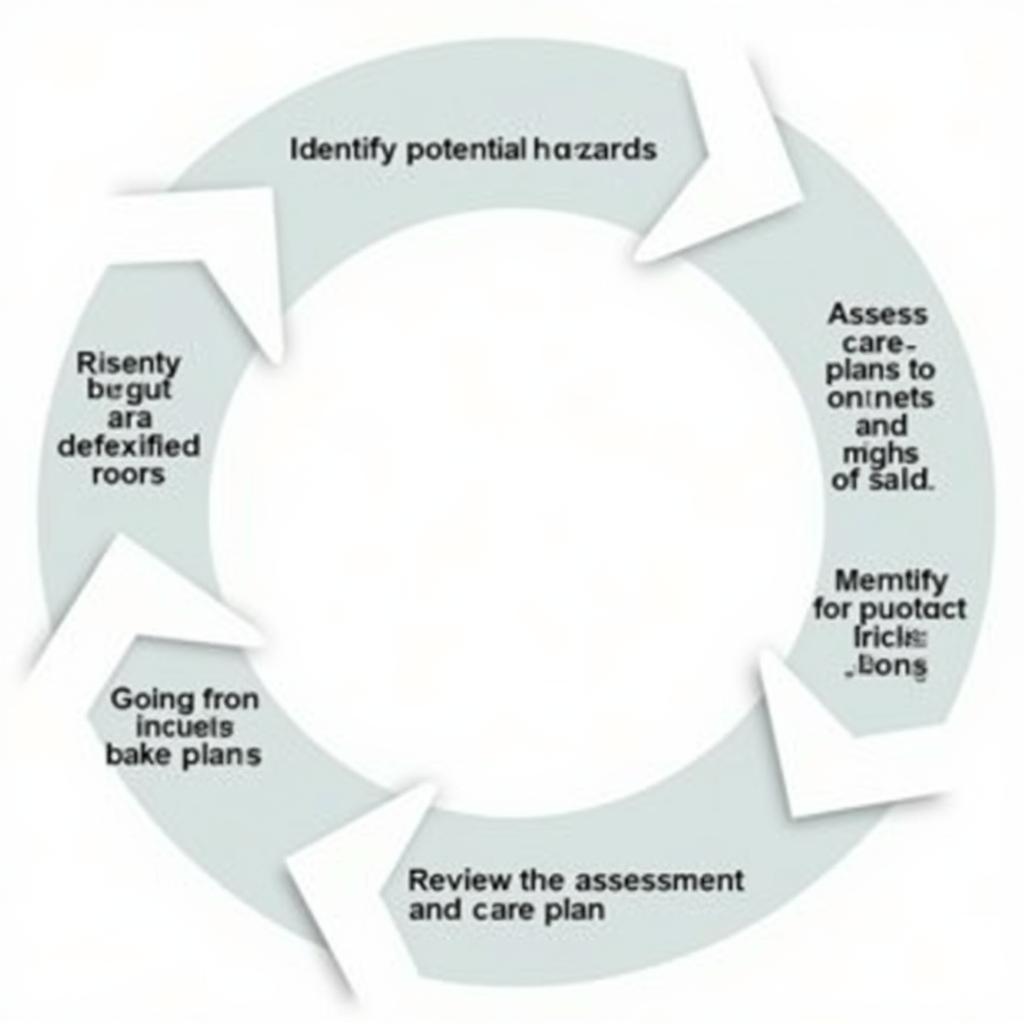 Aged Care Risk Assessment Process