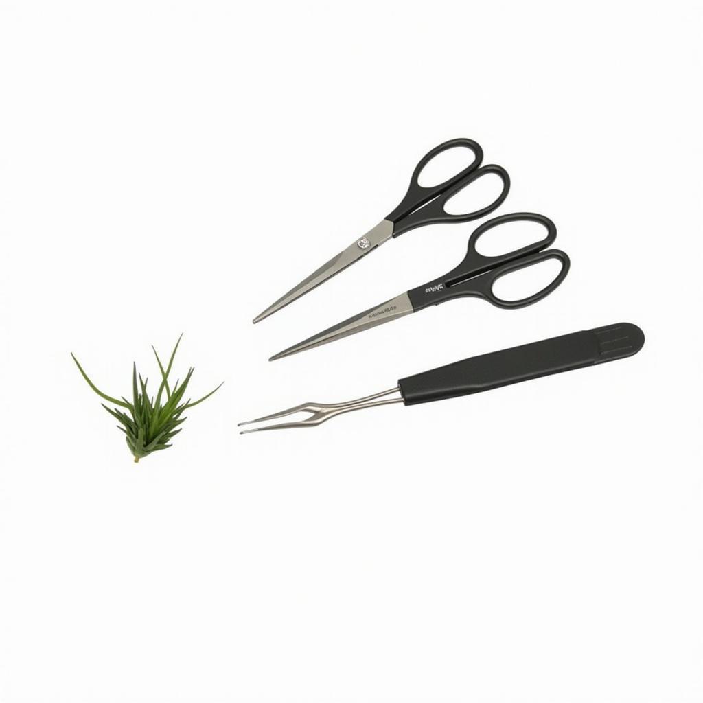 Basic Aquarium Plant Care Tool Set