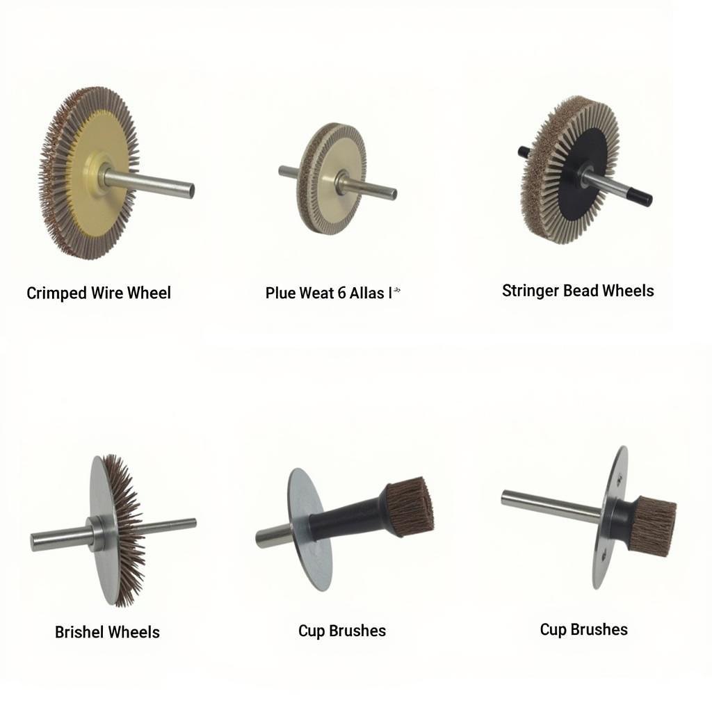 Types of Brissel Tools for Car Paint Removal