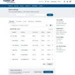 Capital One Auto Navigator Interface