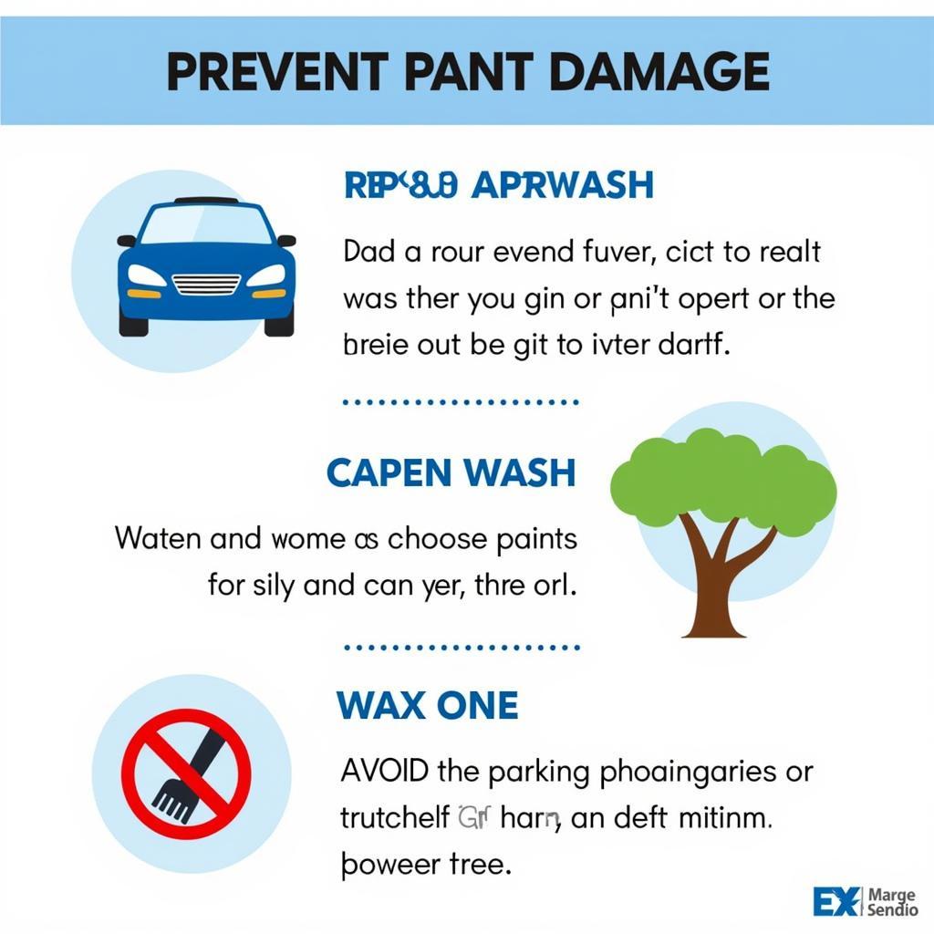 Car Maintenance Tips for Preserving Paint