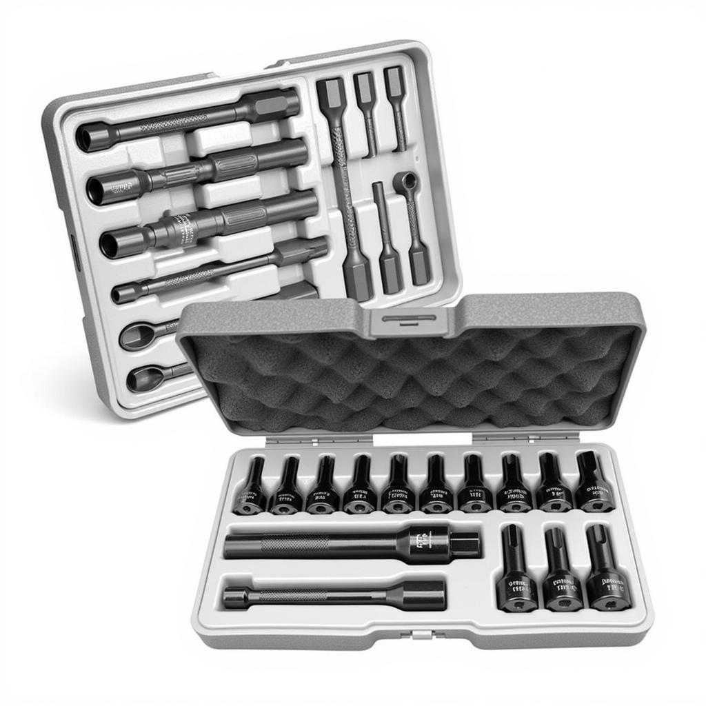 A complete set of car tool 6 sided star sockets of various sizes arranged in a case