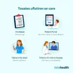 Examples of Care Transition Tools