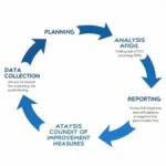 Key Components of the CDC Social Care Audit Tool