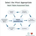 Choosing the Right Heart Failure Assessment Tool