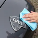 Cleaning Adhesive Residue After Emblem Removal