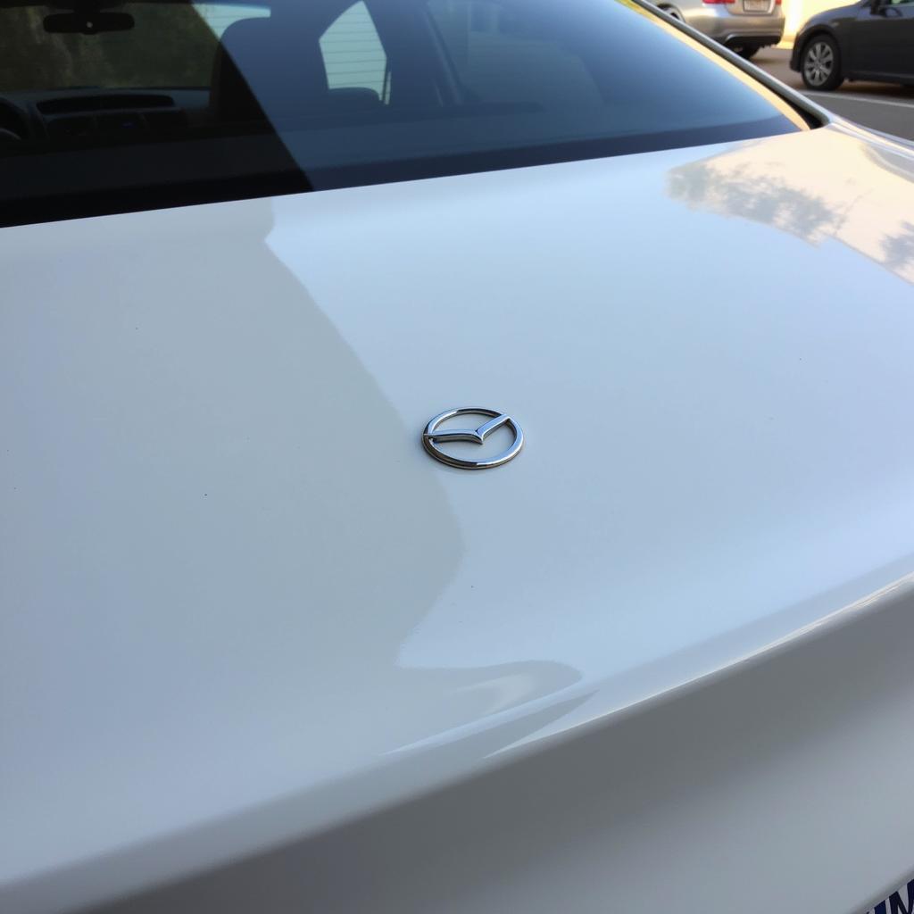 Debadging a car for a sleek, minimalist aesthetic