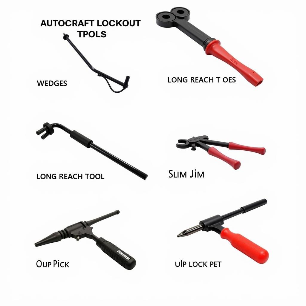 Different Types of Autocraft Car Lockout Tools