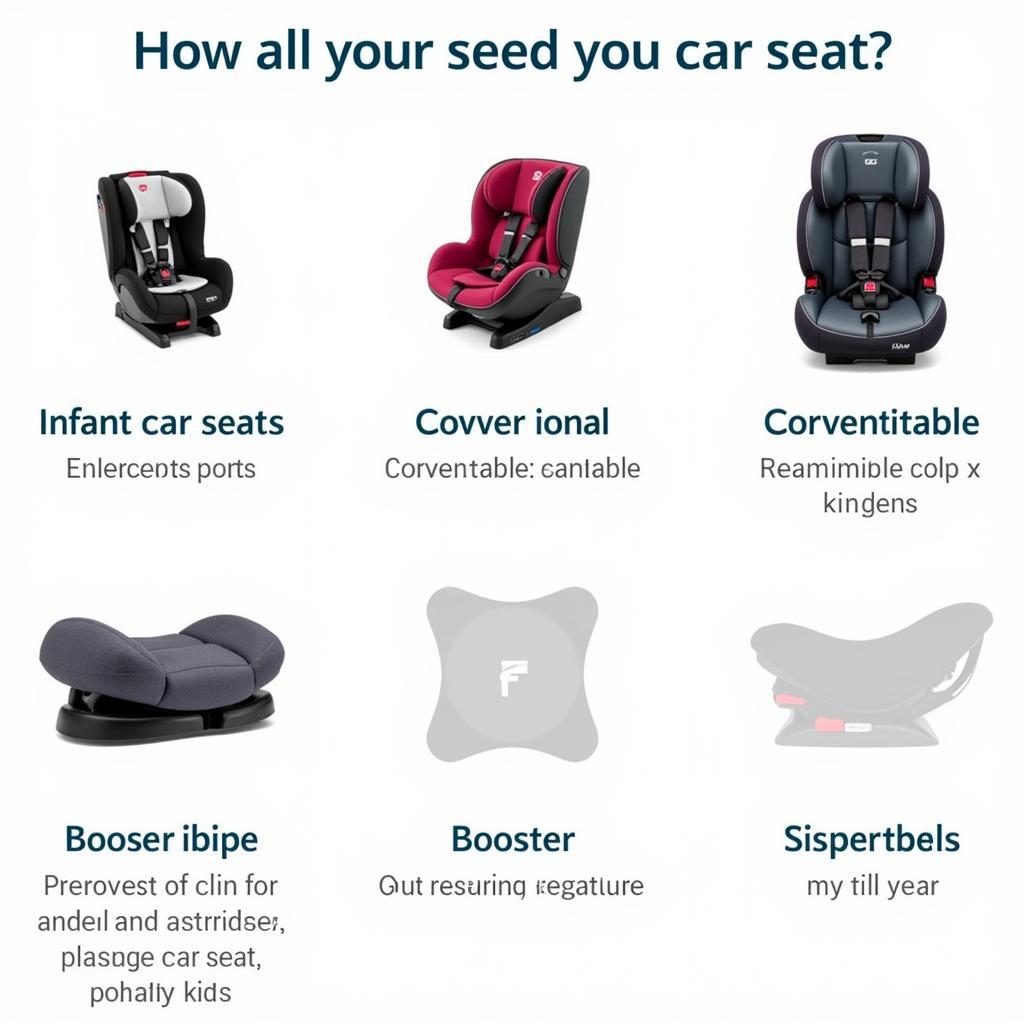 Variety of Car Seats