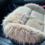 Dog hair covering a car seat