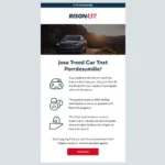 Effective Car Dealer Email Campaign Example