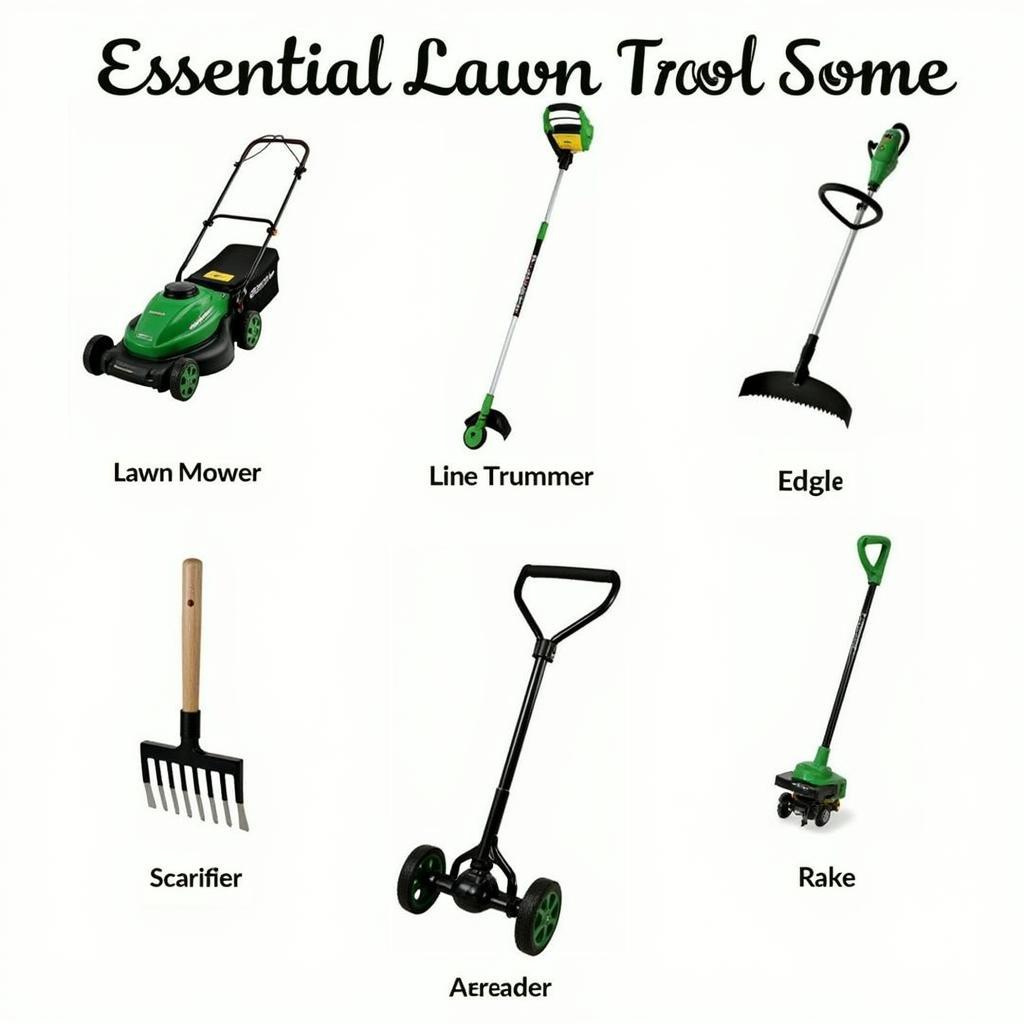 Must-Have Lawn Care Tools for New Zealand Gardens