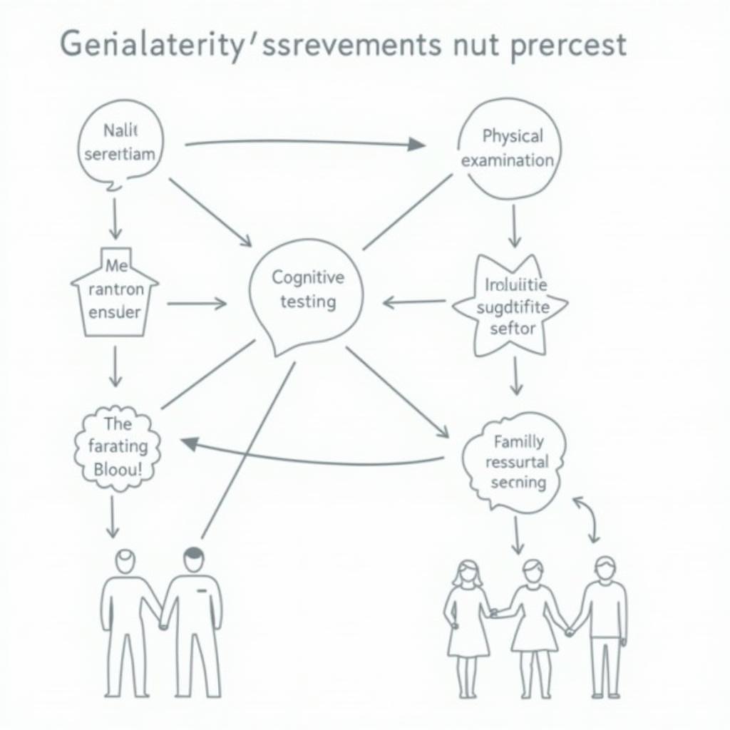 Geriatric Assessment Process