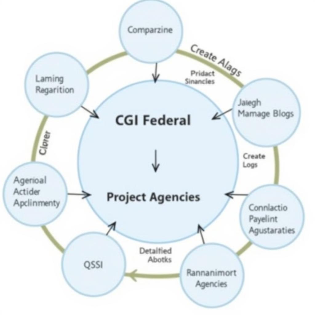 Collaboration between Government, CGI, and QSSI in the Affordable Care Act