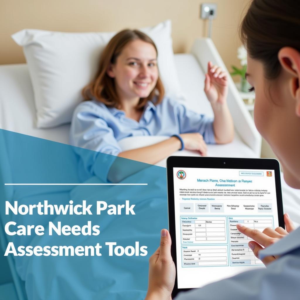 Northwick Park Care Needs Assessment Tool in Practice