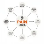 Types of Pain in Palliative Care