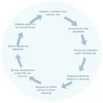 Palliative Care Screening Process