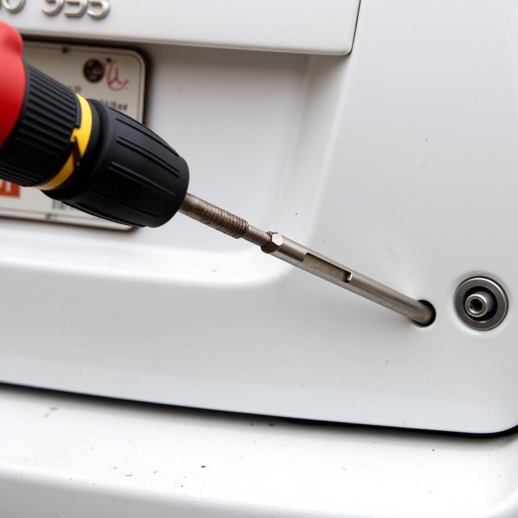 Removing a stripped screw from a car plate mount