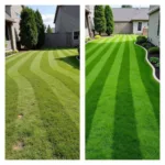 Before and After Lawn Care Transformation Using TLC Tools