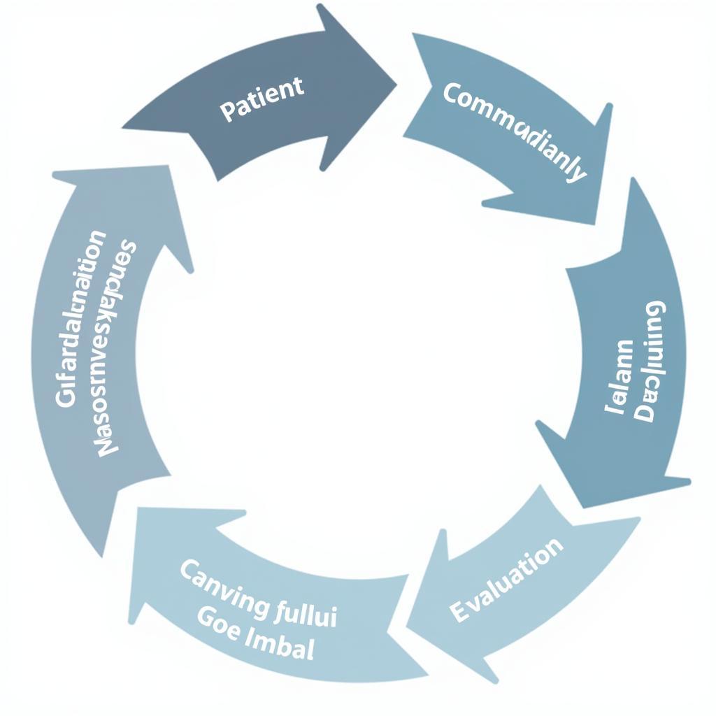 Transition of Care Assessment Process