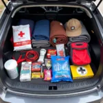 Essential Items for a Winter Car Emergency Kit